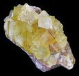 Lustrous, Yellow Cubic Fluorite Crystals - Morocco #32307-1